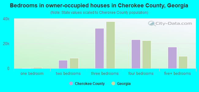 Bedrooms in owner-occupied houses in Cherokee County, Georgia