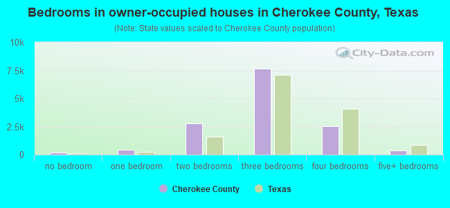 Bedrooms in owner-occupied houses in Cherokee County, Texas