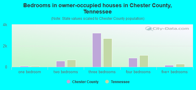 Bedrooms in owner-occupied houses in Chester County, Tennessee