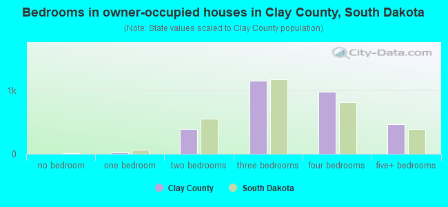 Bedrooms in owner-occupied houses in Clay County, South Dakota