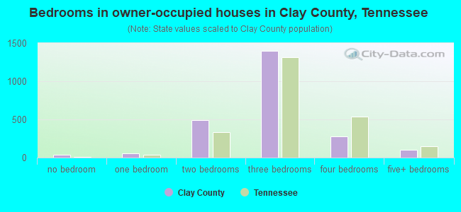 Bedrooms in owner-occupied houses in Clay County, Tennessee