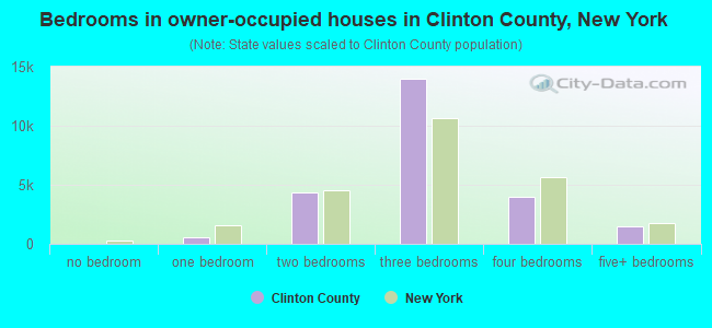 Bedrooms in owner-occupied houses in Clinton County, New York