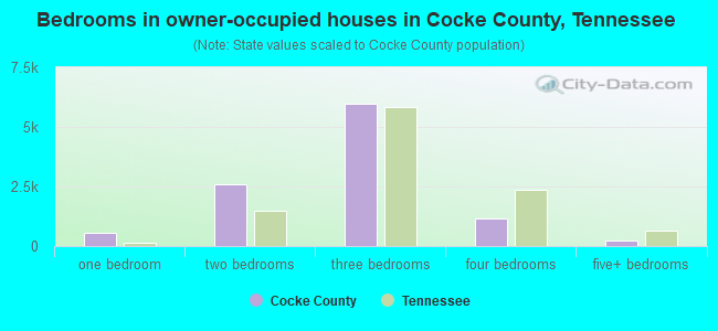 Bedrooms in owner-occupied houses in Cocke County, Tennessee