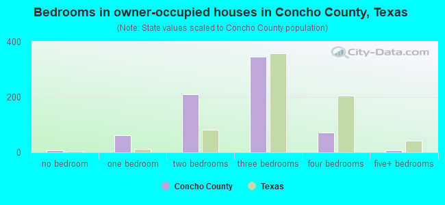 Bedrooms in owner-occupied houses in Concho County, Texas