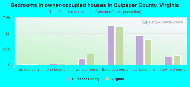 Bedrooms in owner-occupied houses in Culpeper County, Virginia