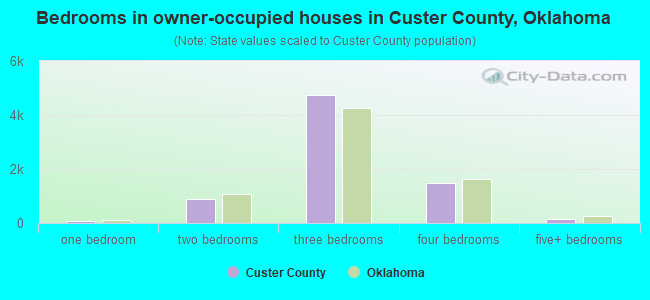 Bedrooms in owner-occupied houses in Custer County, Oklahoma