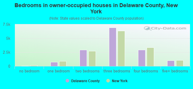 Bedrooms in owner-occupied houses in Delaware County, New York
