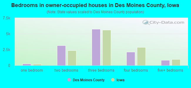 Bedrooms in owner-occupied houses in Des Moines County, Iowa