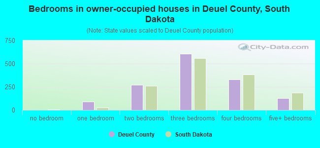 Bedrooms in owner-occupied houses in Deuel County, South Dakota
