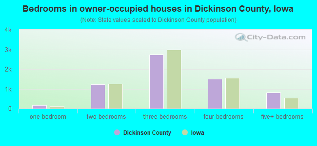 Bedrooms in owner-occupied houses in Dickinson County, Iowa