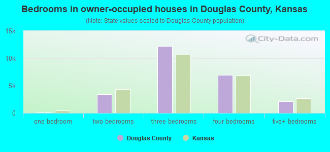 Bedrooms in owner-occupied houses in Douglas County, Kansas