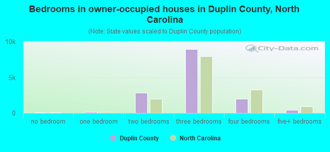 Bedrooms in owner-occupied houses in Duplin County, North Carolina