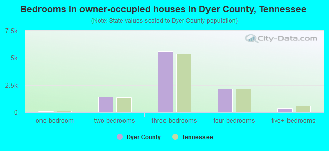 Bedrooms in owner-occupied houses in Dyer County, Tennessee