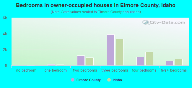 Bedrooms in owner-occupied houses in Elmore County, Idaho