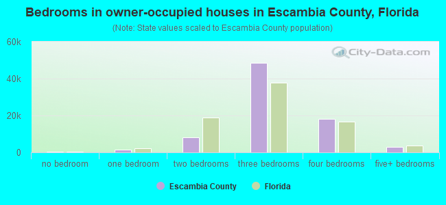 Bedrooms in owner-occupied houses in Escambia County, Florida