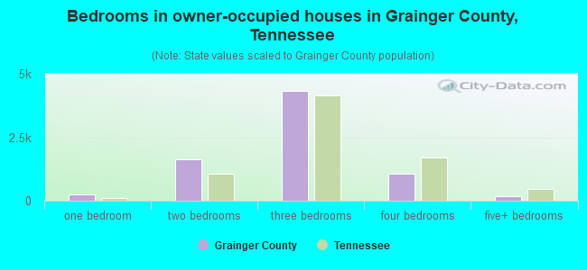 Bedrooms in owner-occupied houses in Grainger County, Tennessee