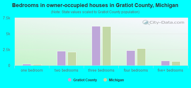 Bedrooms in owner-occupied houses in Gratiot County, Michigan