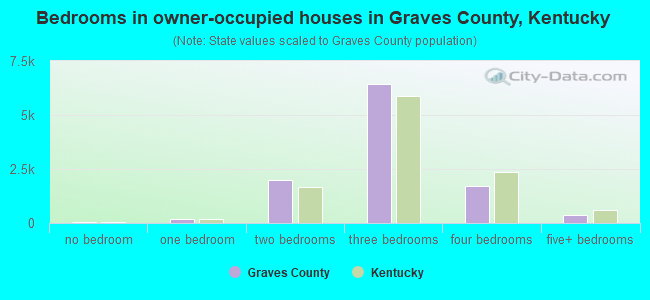 Bedrooms in owner-occupied houses in Graves County, Kentucky