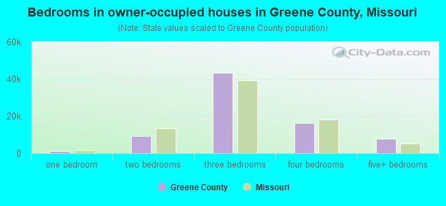 Bedrooms in owner-occupied houses in Greene County, Missouri