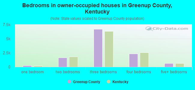 Bedrooms in owner-occupied houses in Greenup County, Kentucky