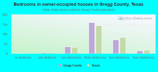 Bedrooms in owner-occupied houses in Gregg County, Texas