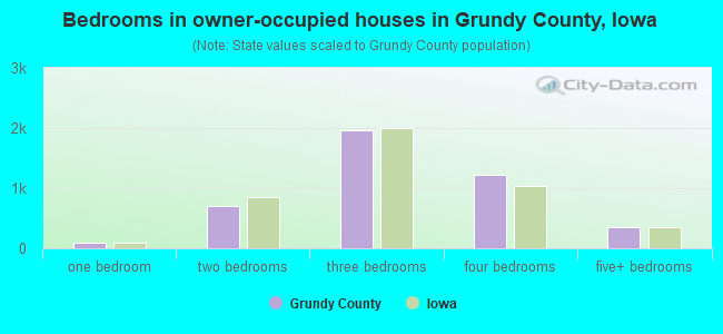 Bedrooms in owner-occupied houses in Grundy County, Iowa