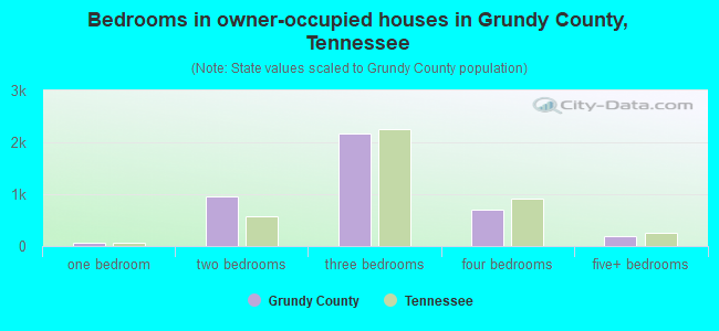 Bedrooms in owner-occupied houses in Grundy County, Tennessee