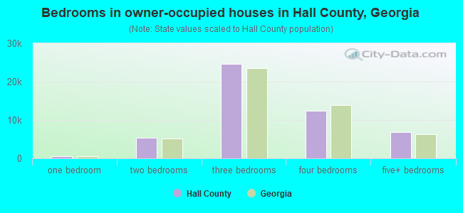Bedrooms in owner-occupied houses in Hall County, Georgia
