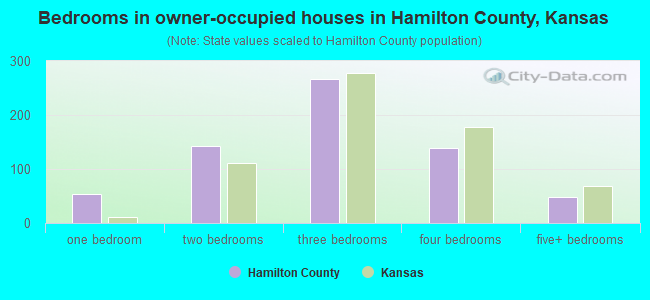 Bedrooms in owner-occupied houses in Hamilton County, Kansas