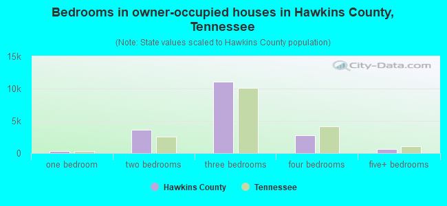 Bedrooms in owner-occupied houses in Hawkins County, Tennessee