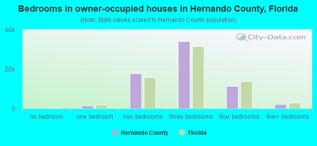 Bedrooms in owner-occupied houses in Hernando County, Florida