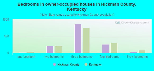 Bedrooms in owner-occupied houses in Hickman County, Kentucky