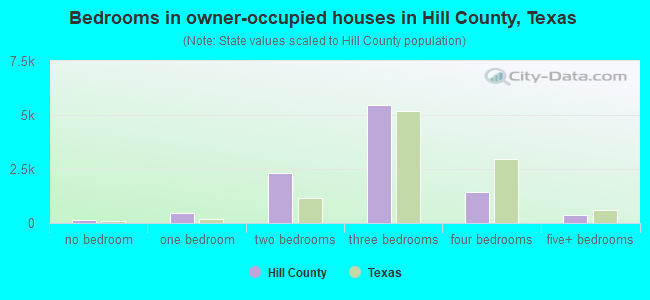 Bedrooms in owner-occupied houses in Hill County, Texas