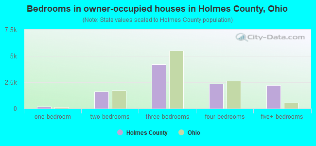 Bedrooms in owner-occupied houses in Holmes County, Ohio