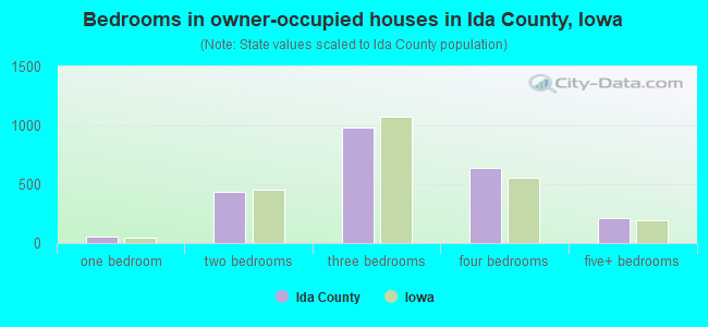 Bedrooms in owner-occupied houses in Ida County, Iowa