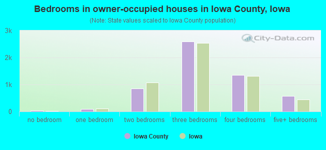 Bedrooms in owner-occupied houses in Iowa County, Iowa
