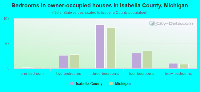 Bedrooms in owner-occupied houses in Isabella County, Michigan