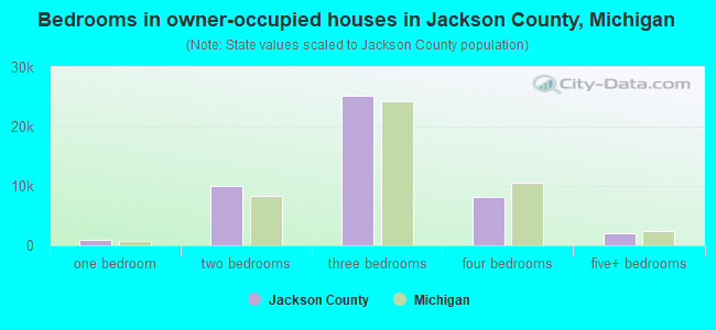 Bedrooms in owner-occupied houses in Jackson County, Michigan