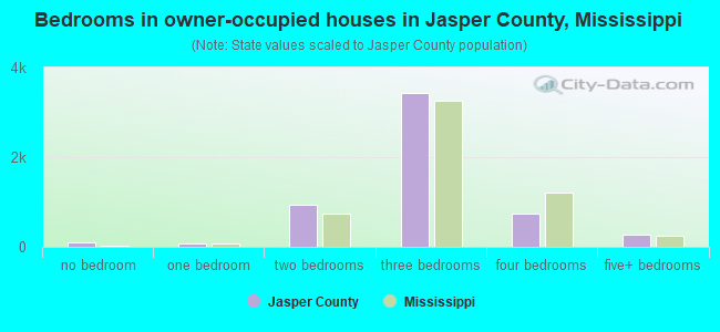 Bedrooms in owner-occupied houses in Jasper County, Mississippi