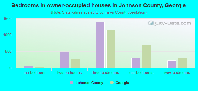 Bedrooms in owner-occupied houses in Johnson County, Georgia