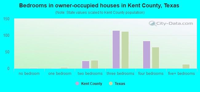 Bedrooms in owner-occupied houses in Kent County, Texas