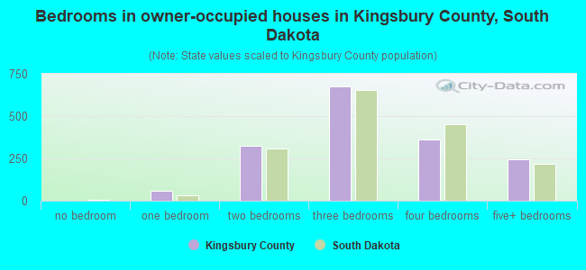 Bedrooms in owner-occupied houses in Kingsbury County, South Dakota