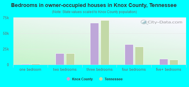 Bedrooms in owner-occupied houses in Knox County, Tennessee