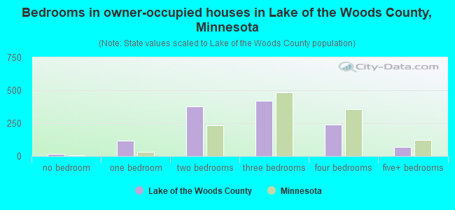 Bedrooms in owner-occupied houses in Lake of the Woods County, Minnesota