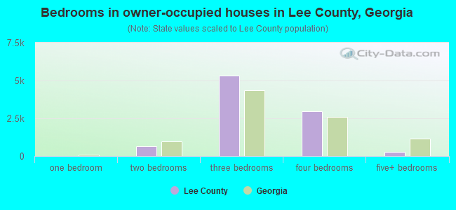Bedrooms in owner-occupied houses in Lee County, Georgia