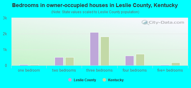 Bedrooms in owner-occupied houses in Leslie County, Kentucky