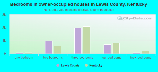 Bedrooms in owner-occupied houses in Lewis County, Kentucky
