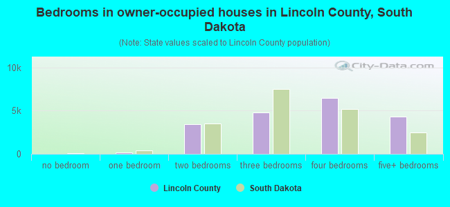 Bedrooms in owner-occupied houses in Lincoln County, South Dakota