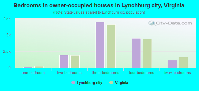 Bedrooms in owner-occupied houses in Lynchburg city, Virginia