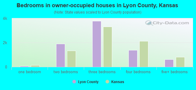 Bedrooms in owner-occupied houses in Lyon County, Kansas